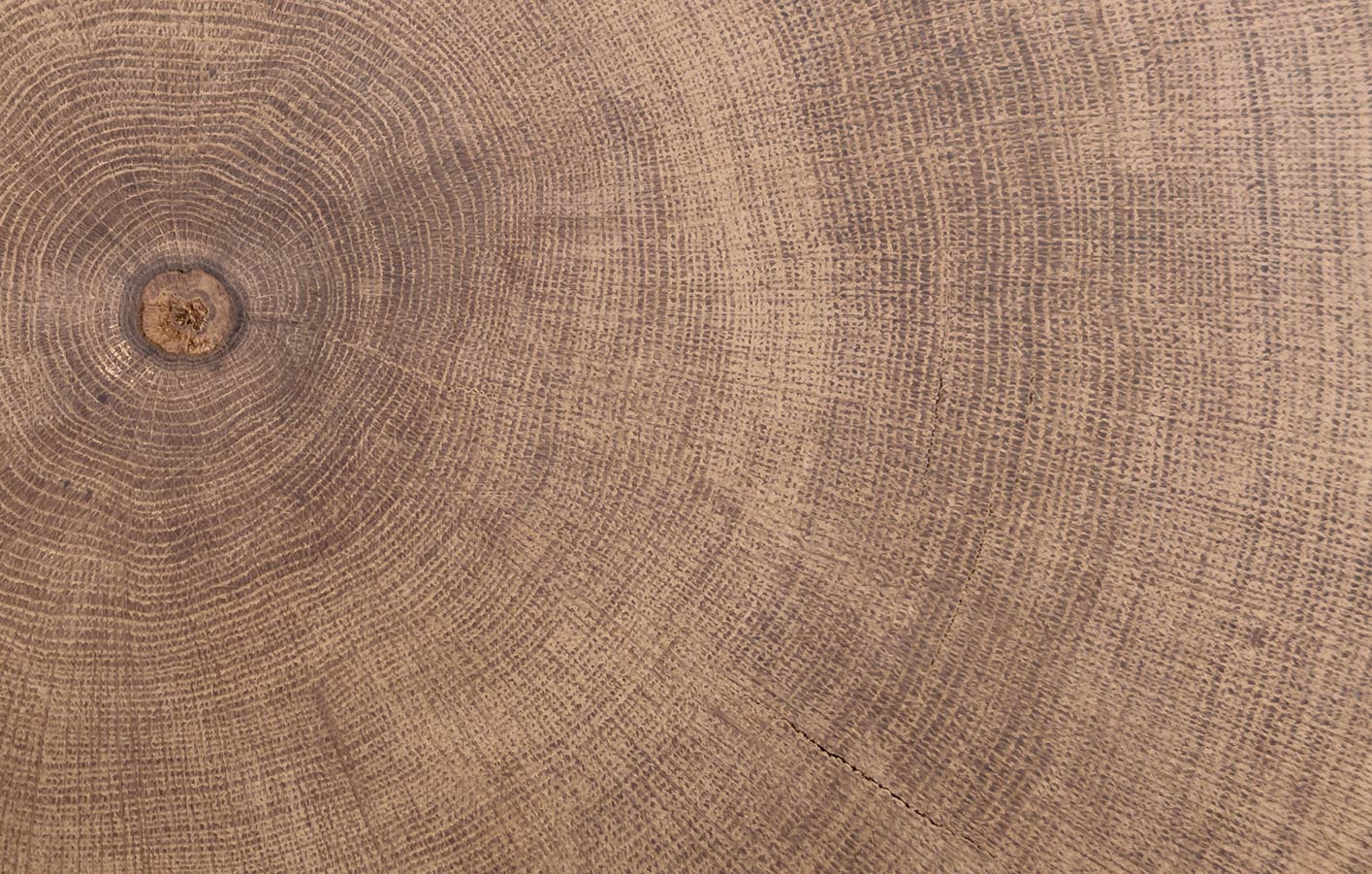 Wichtige Experten Tipps im Holz-Ratgeber: Alles zu Material von A bis Z. Wir klären auf, welches Holz sich für Ihre Fassade eignet.