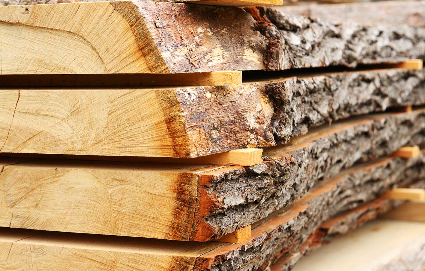 Schnittholz, Baumstamm geschnitten gelagert