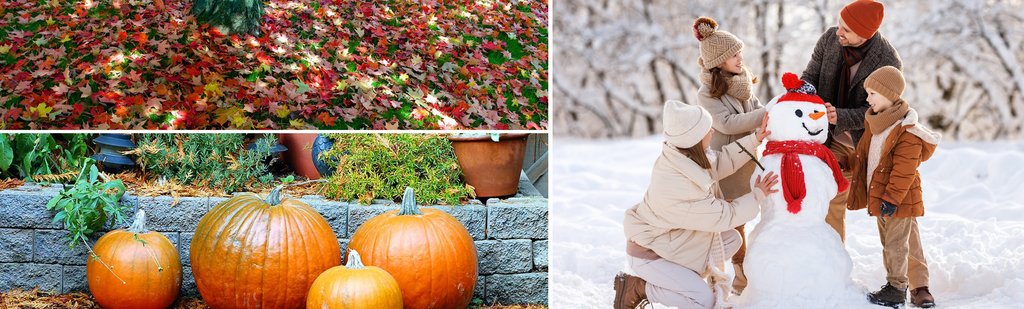 _vorlage_neu_Panorama_RE_Laube_WinterHerbst.jpg